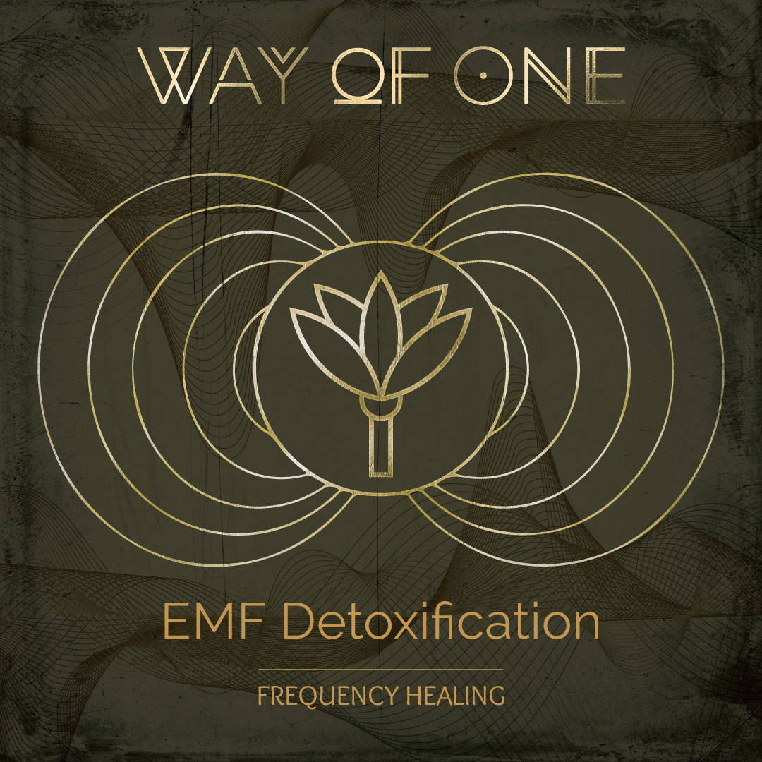 Frequency Healing - EMF Detoxification